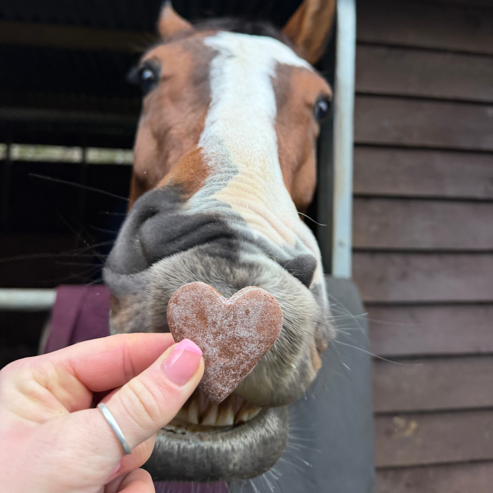 Limited Edition Calmer Bites™ Hearts ❤️